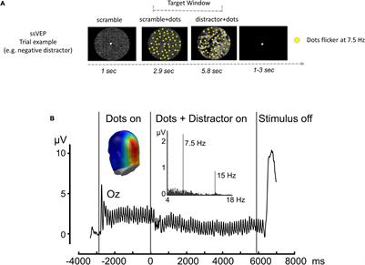 Abnormal Visual Evoked Responses to Emotional Cues Correspond to Diagnosis and Disease Severity in Fibromyalgia